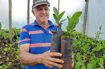 Arildo Mudas de Marolo