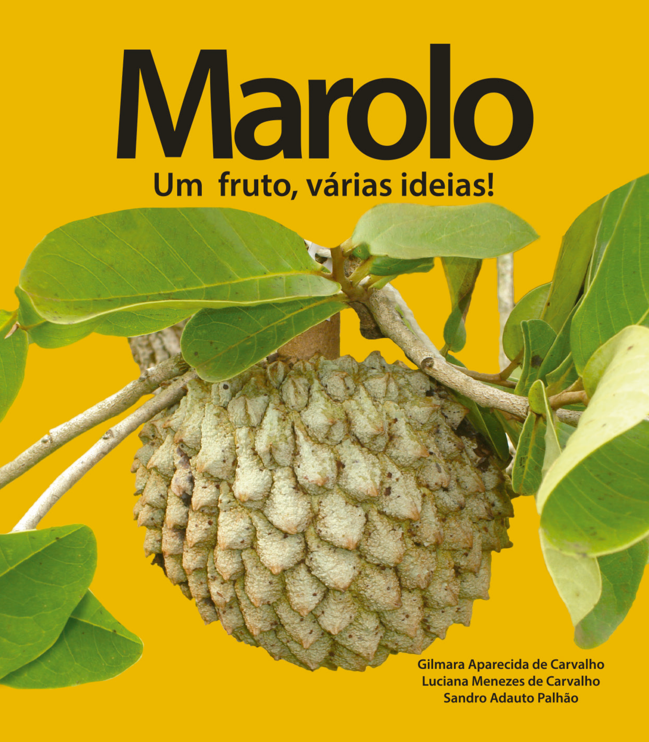 E-book – Marolo um fruto várias ideias